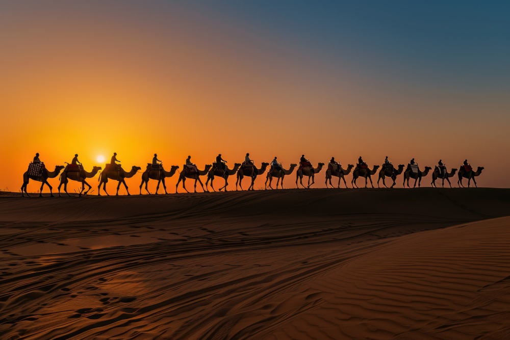 RAJASTHAN – MEWAD Image 5