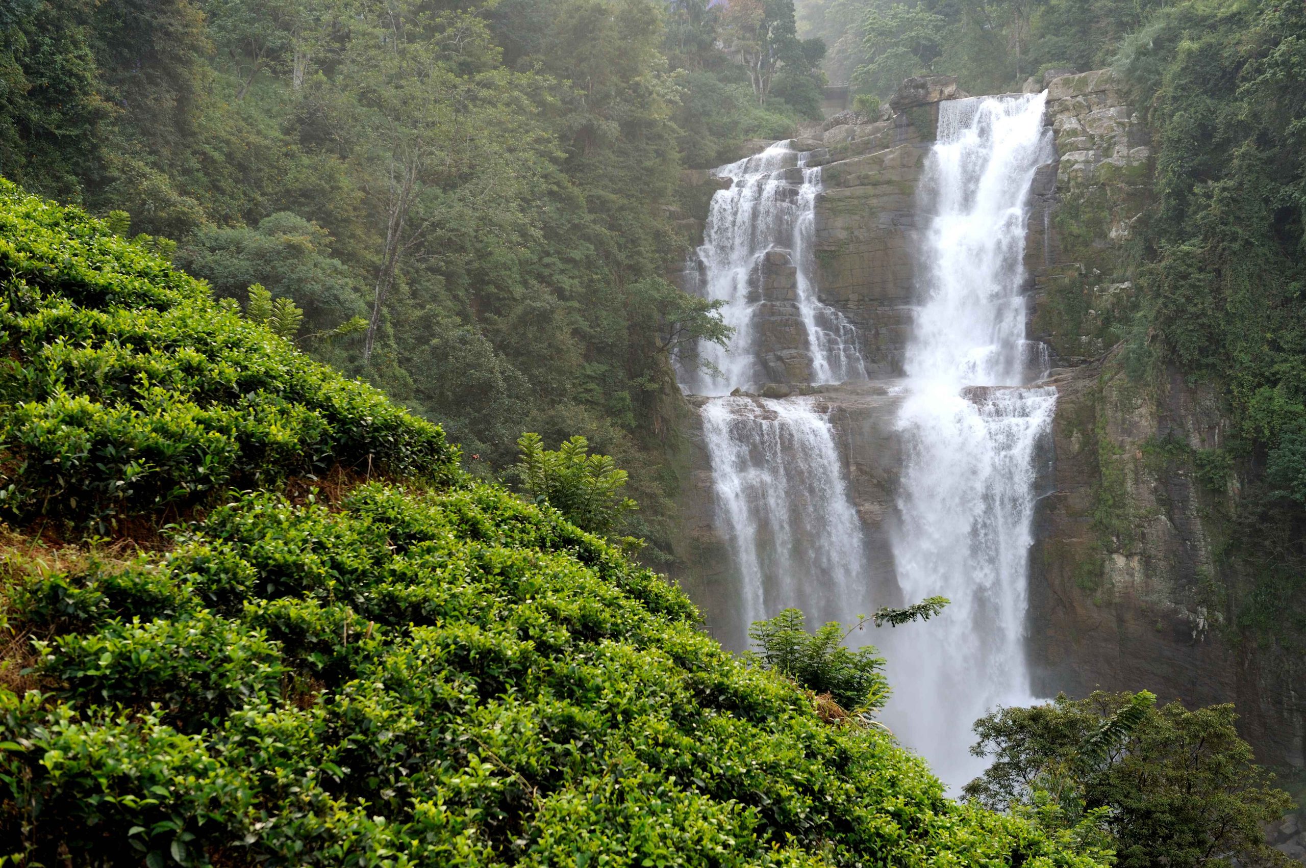beautiful-ramboda-waterfall-sri-lanka-island (1)