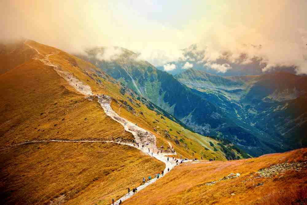 LADAKH DELIGHT Image 2