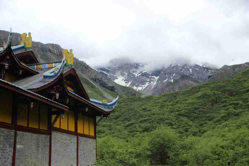 KASHMIR SPECIAL Image 4