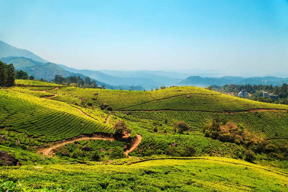 KERALA - GODS OWN COUNTRY Image 1