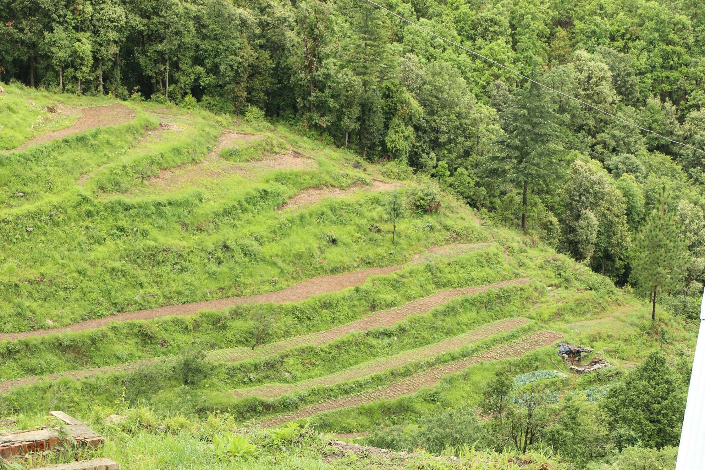 Nainital ranikhet corbett Image 5