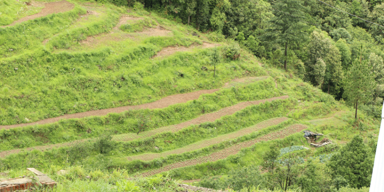 Kausani – Ranikhet