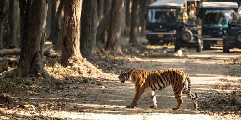 Nainital – Corbett