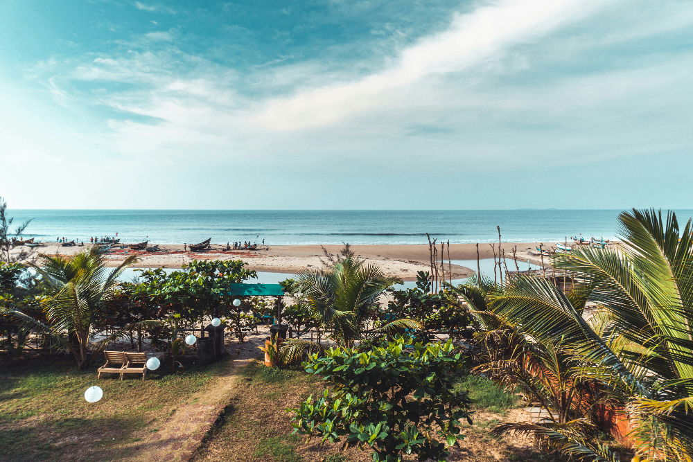 MINI KONKAN-DARSHAN
Image 3