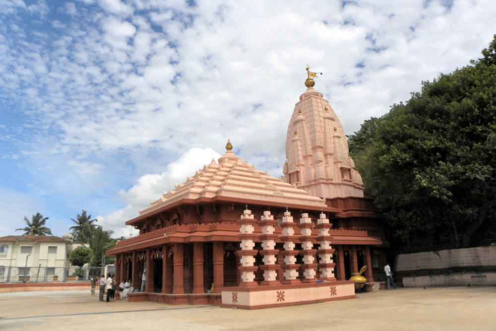 MINI KONKAN-DARSHAN
Image 2