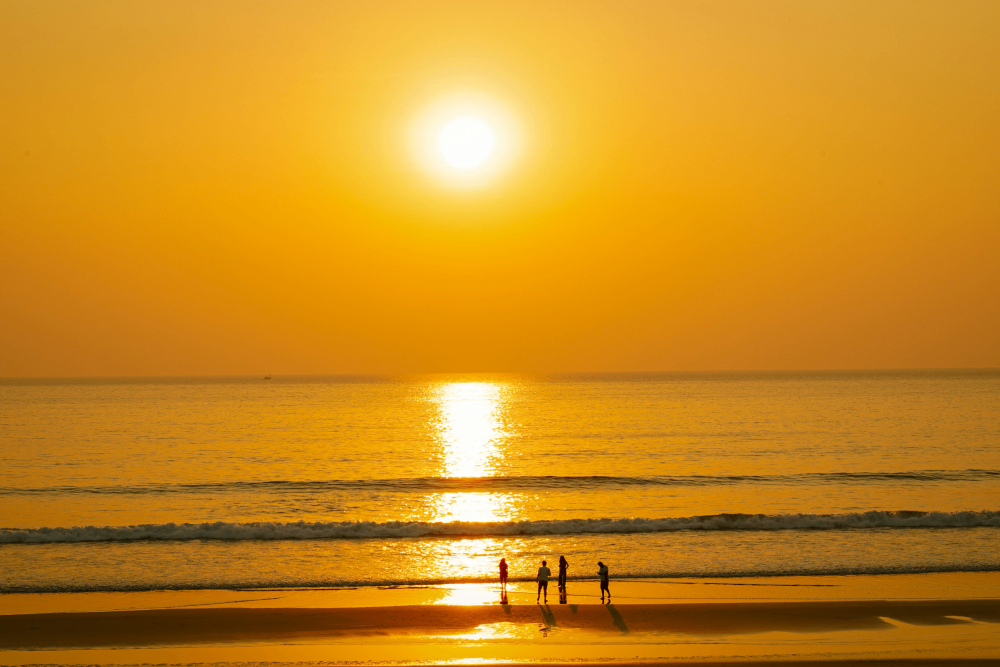 MINI KONKAN-DARSHAN
Image 1