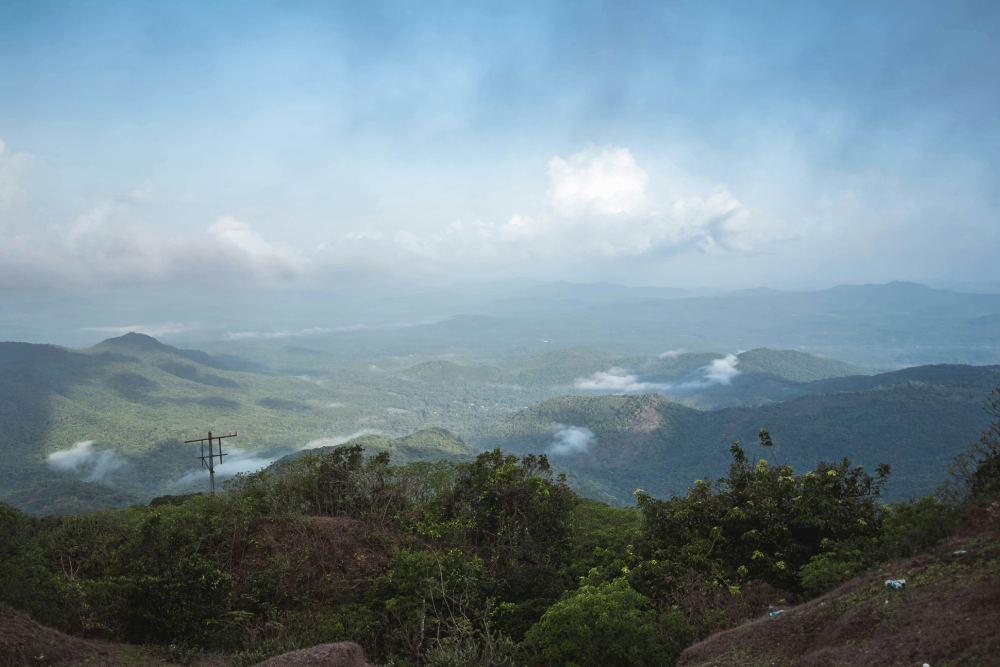 MINI KONKAN-DARSHAN
Image 5