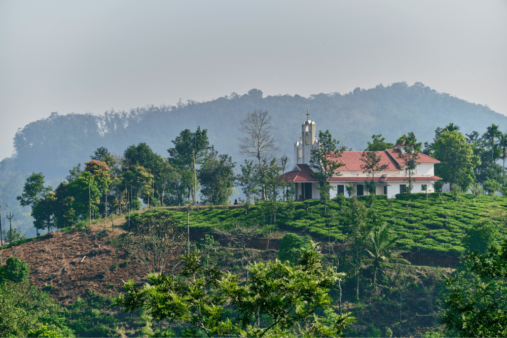 MYSORE – COORG – WAYANAD Image 1